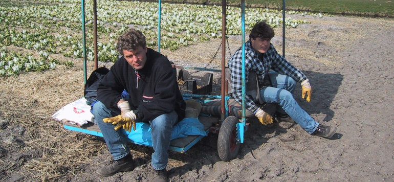 Harry van Dongen began growing his first peonies